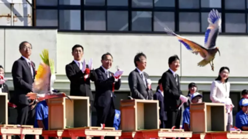 Crested Ibises Released in Japan Decades After Extinction