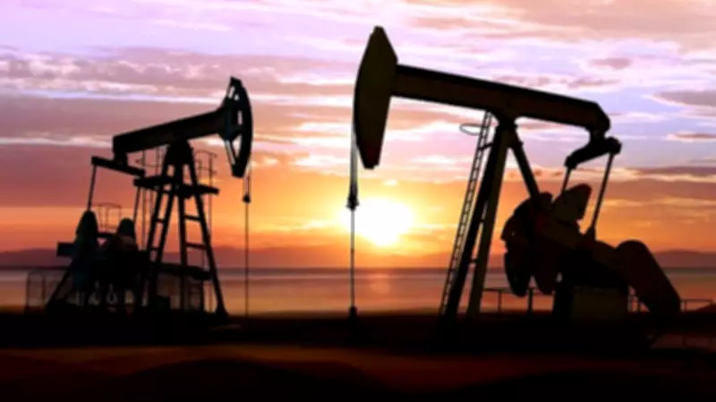 Crude Oil Drops Nearly 2% in Futures Trade as Trump Halts Iran Strike Plans