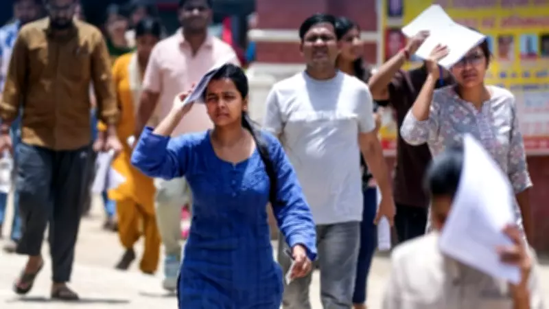 CUET UG 2026 Merit List: Top Achievers and Subject-Wise Performance Revealed