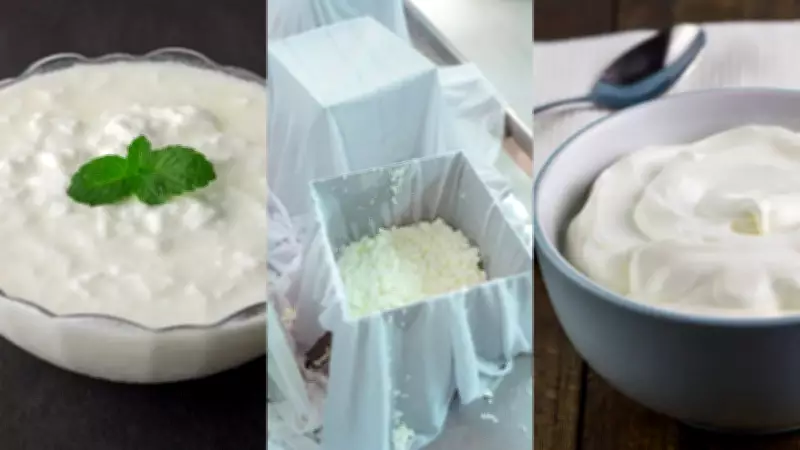Curd vs Hung Curd vs Greek Yogurt: Difference and Protein Content Comparison