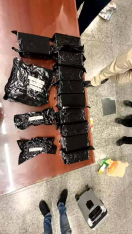Customs Seize 10.39 kg Hydroponic Weed Worth Rs 10.39 Crore at Lucknow Airport