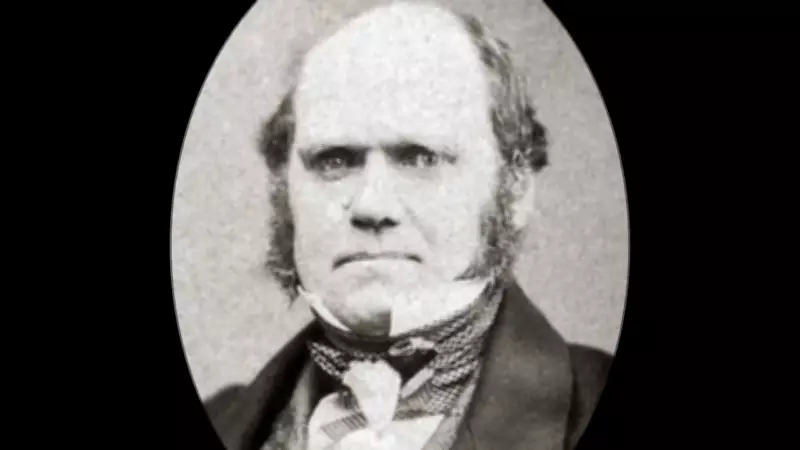 Darwin's Quote on Adaptability Still Resonates in Modern Life
