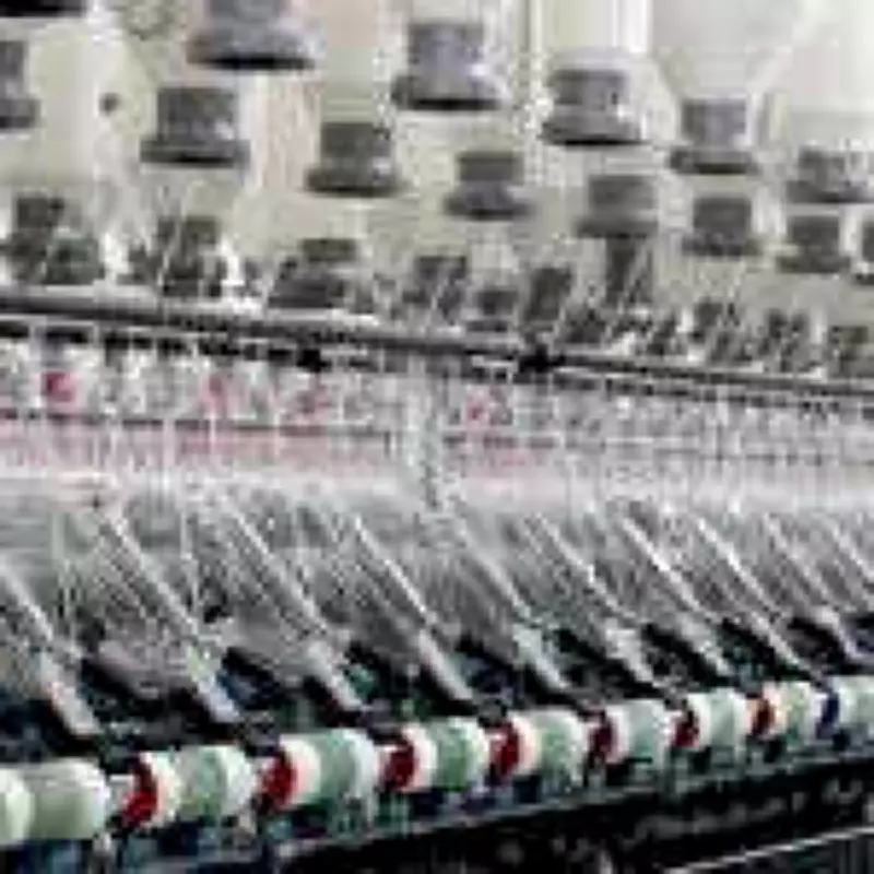 DCM Mill Workers Strike in Hisar After 50 Years, Suspended After Assurance