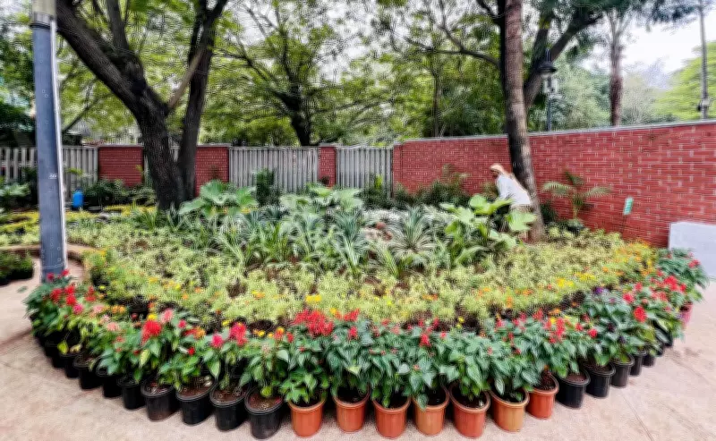 DDA Launches Major Plantation Drive to Plant 23 Lakh Saplings Across Delhi