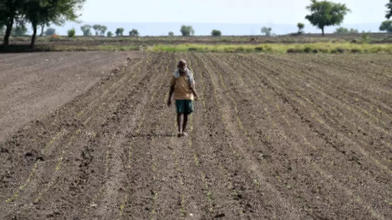 Deficit Rain Threatens Agriculture in Karnataka's Navalgund Region