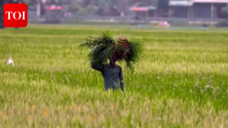 Delhi govt raises crop loss compensation to Rs 75,000 per hectare