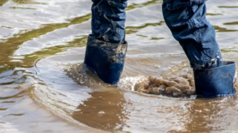 Delhi govt seeks Rs 260 crore for Karnataka flood relief