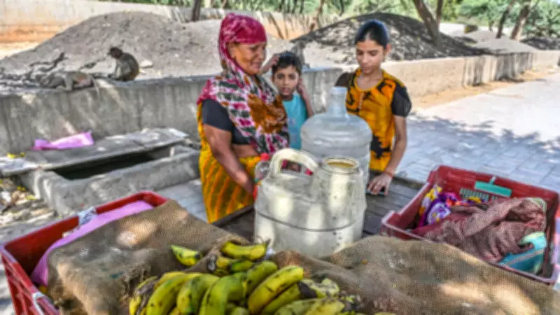 Delhi Woman, 65, Cares for Monkeys for 12 Years, Seeks Water Facility