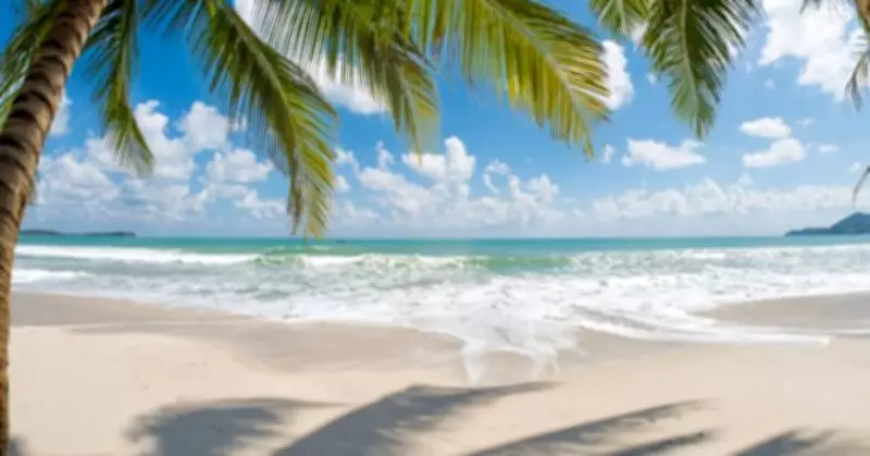 Delvia Holidays International Reviews Bengaluru: What to Know Before Booking