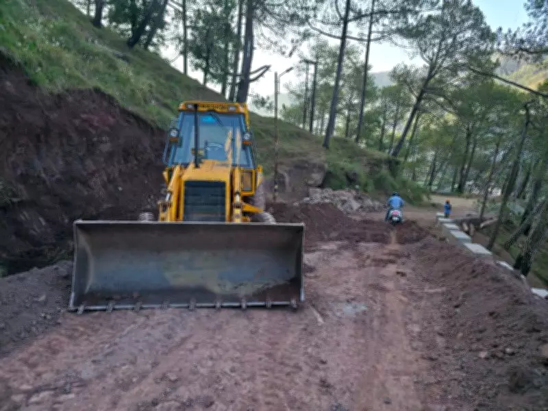 Diesel sale curbs stall road works in Himachal; contractors seek relief