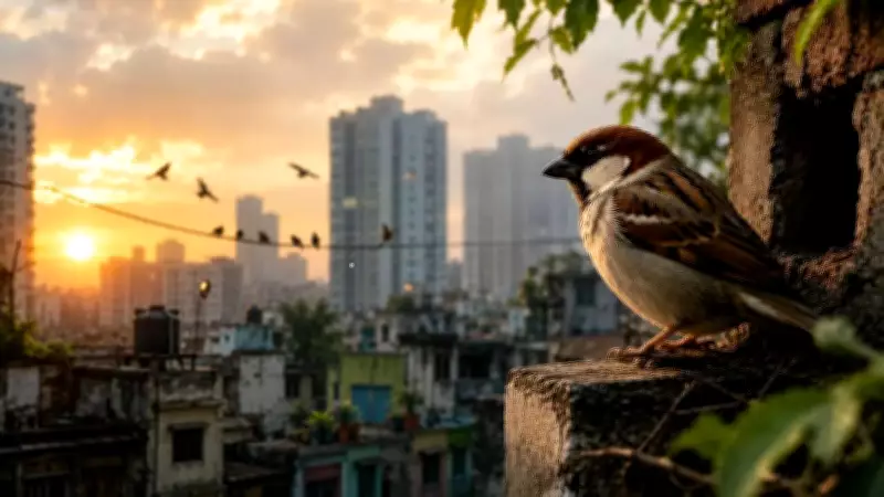 Disappearing Sparrows: Modern Cities Push Birds Out, But Hope Remains