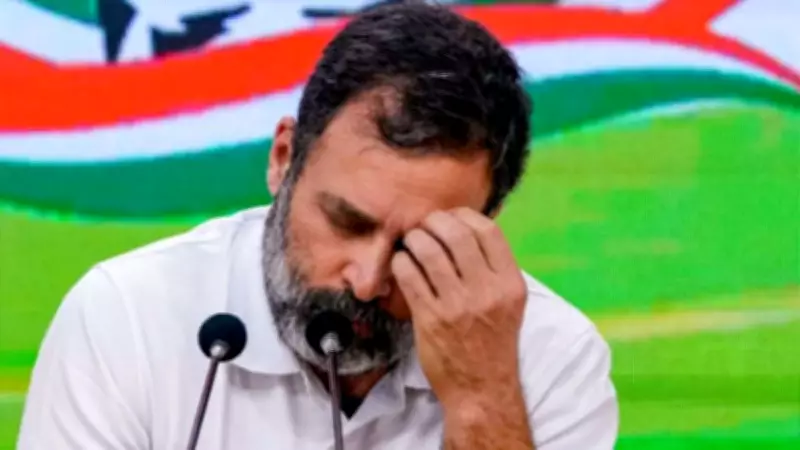 DMK Blames Rahul Gandhi for Opposition Friction, Calls Him Immature