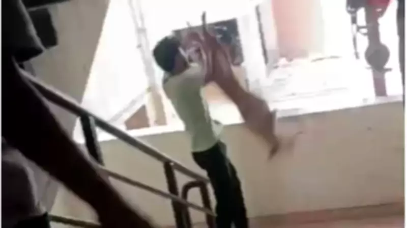 Dog Thrown from Second Floor in Jamnagar, FIR Filed Against Accused