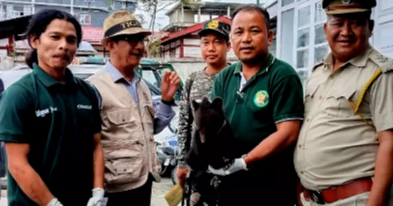Doom Scroll and 200-Km Drive Save Bear Cub in Arunachal Pradesh
