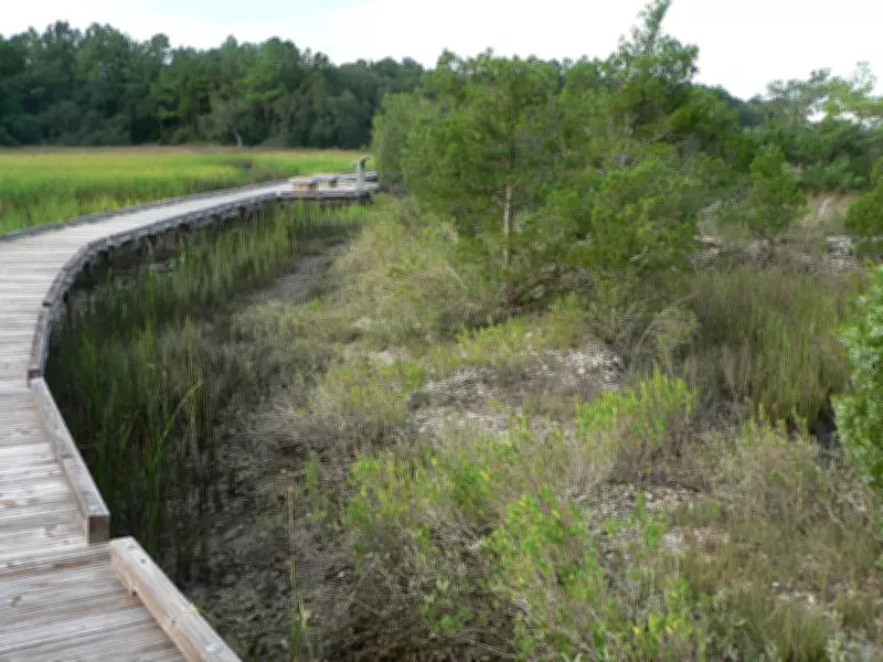 Drone Lasers Reveal Ancient Shell Bead-Making Settlement on Florida Island