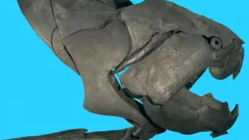 Dunkleosteus terrelli: The Armored Predator of Ohio's Ancient Seas