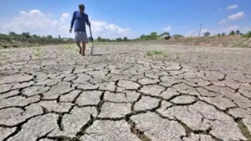 El Nino Officially Sets In: European Agency Confirms Pacific Warming Threshold Crossed