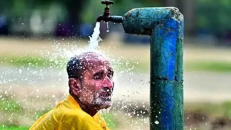 El Nino Rapidly Developing, 80% Chance in June-Aug: WMO Warns of Extreme Weather