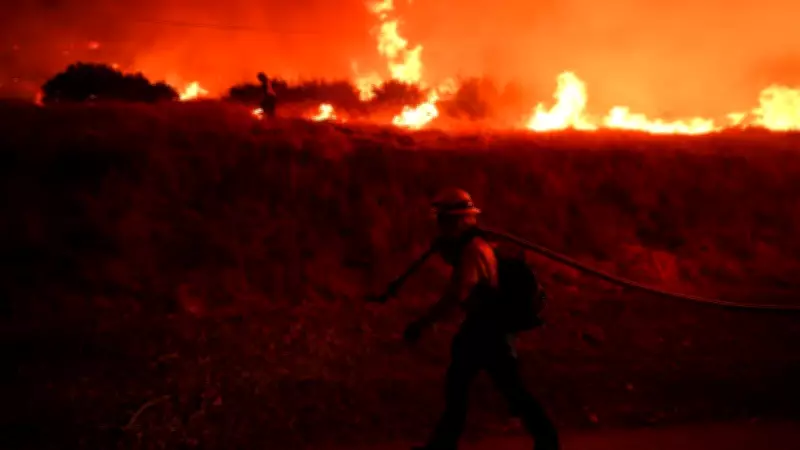El Niño Forms in Pacific, Expected to Be Historic Strength