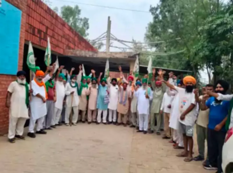 Electricity Crisis Deepens in Jagraon During Paddy Transplantation, Farmers Protest