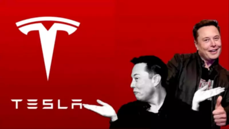 Elon Musk denies Tesla, SpaceX success tied to government aid, calls claim false