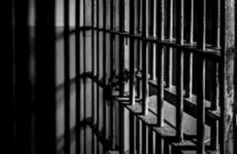 Emu Farm Scam: Two Sentenced to 10 Years in Coimbatore