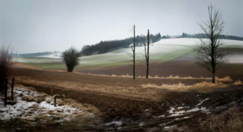 Europe's Winter Snow Cover Declines Drastically, Study Reveals