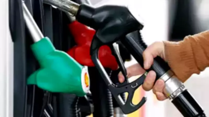 Experts call for lower ethanol fuel, flex fuel vehicle prices to boost demand
