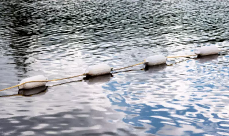 Factory Worker and Friend Jump into Canal to Escape Beating, Dragged Out and Attacked