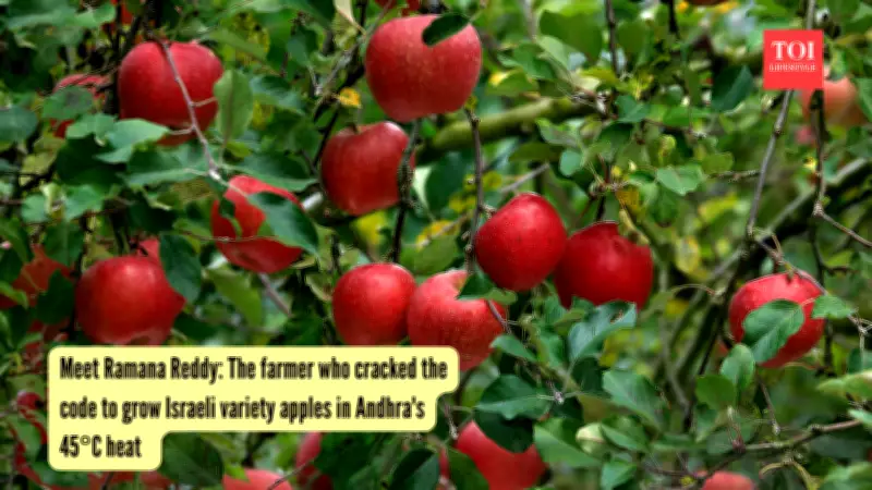 Farmer Grows Apples in Andhra Pradesh's 45°C Heat Using Israeli Variety