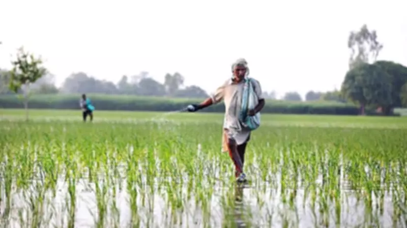 Farmers Boost Organic Manure Use in Kharif Season, Signal Shift from Chemical Fertilisers