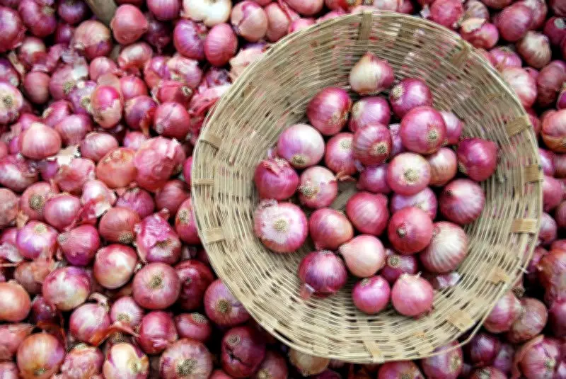 Farmers Demand Rs 3,000 Per Quintal Support Price as Centre Relaxes Onion Procurement Norms