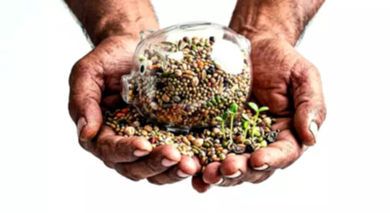Farmers in Gujarat Revive Traditional Seeds to Combat Climate Change