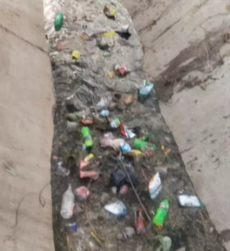 Farmers in Hisar Allege Industrial Waste Dumping in Canal, Seek Action