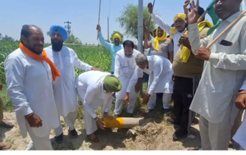Farmers Remove Survey Pillars in Fazilka to Oppose Proposed Embankment