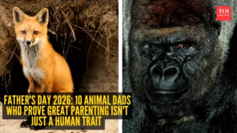 Father's Day 2026: 10 Animal Dads Proving Great Parenting Isn't Just Human