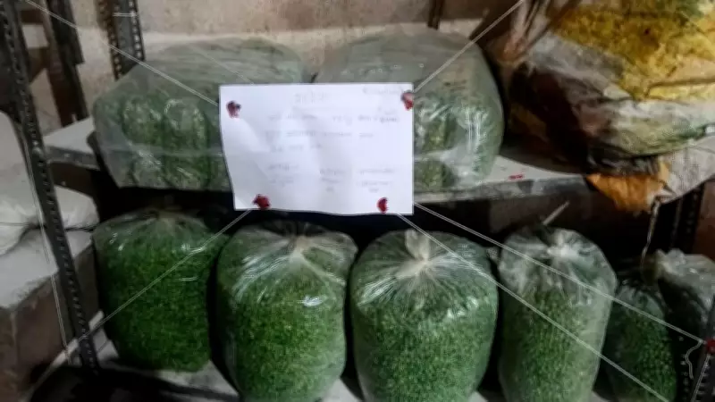 FDA Pune Seizes 16 Tonnes Adulterated Jaggery, 20 Tonnes Sugar, 68 Kg Toxic Peas