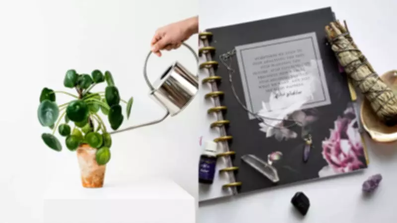 Feng Shui Money Plant Tips to Attract Wealth and Prosperity