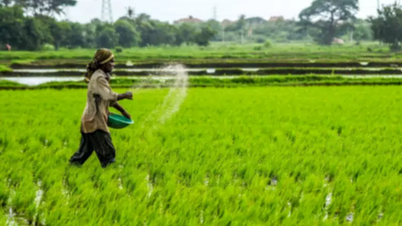 Fertiliser Shortage Triggers Panic Among Farmers in Mysuru