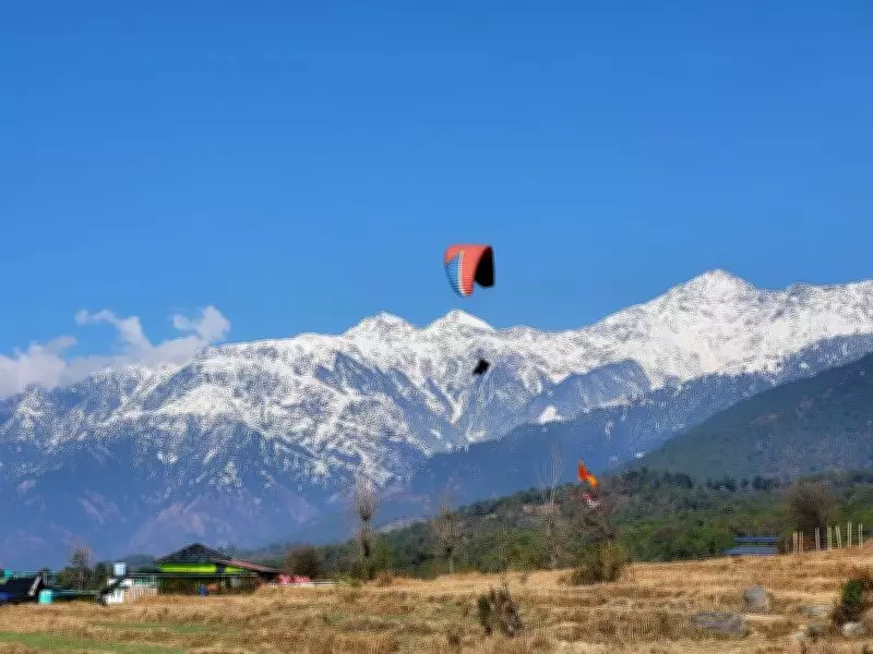 FIR Filed Against Three for Violating Paragliding Ban at Billing