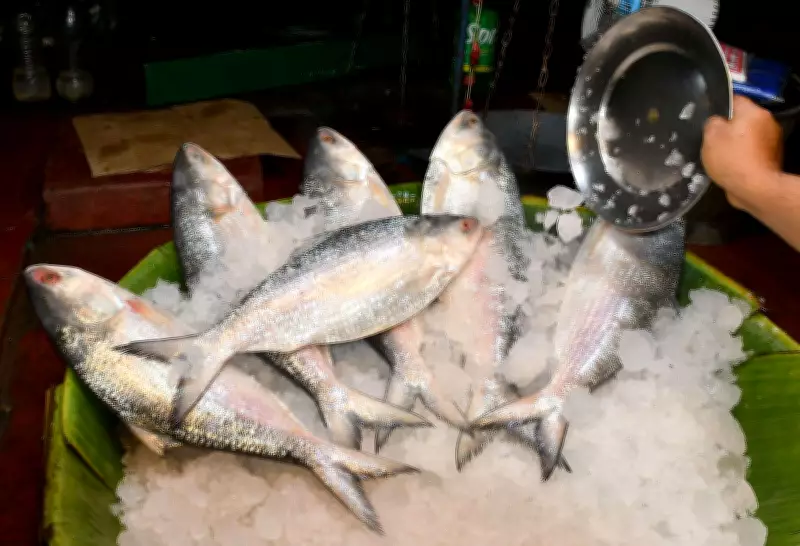 Fish Shortage Hits Kolkata Markets Ahead of Jamai Sasthi Festival