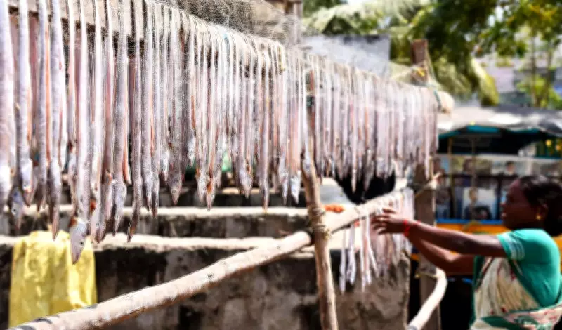 Fisheries Body Urges UN to Recognise Sector Separate from Agriculture