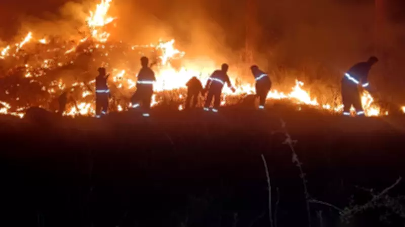 Forest beat officer dies after falling into gorge while returning from fire control duty