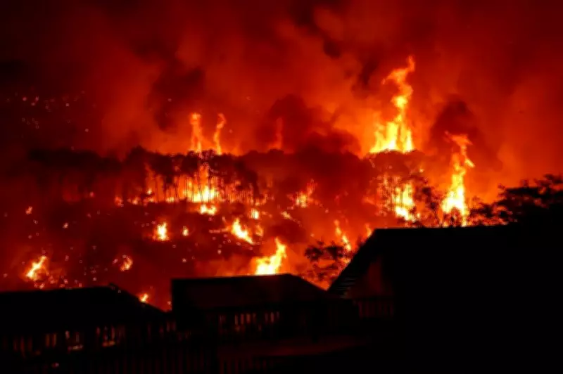 Forest Fire Surrounds Himachal Temple, 350 Pilgrims Rescued Safely