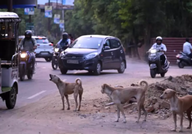 Former Lucknow Mayor Attacked by Stray Dogs in Aliganj, Injured