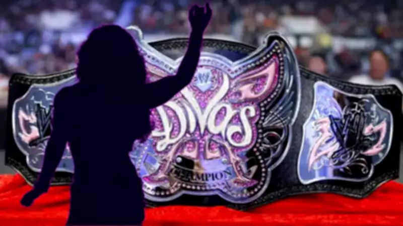 Former WWE Divas Champion Kaitlyn Open to Return, Says Timing Makes Sense