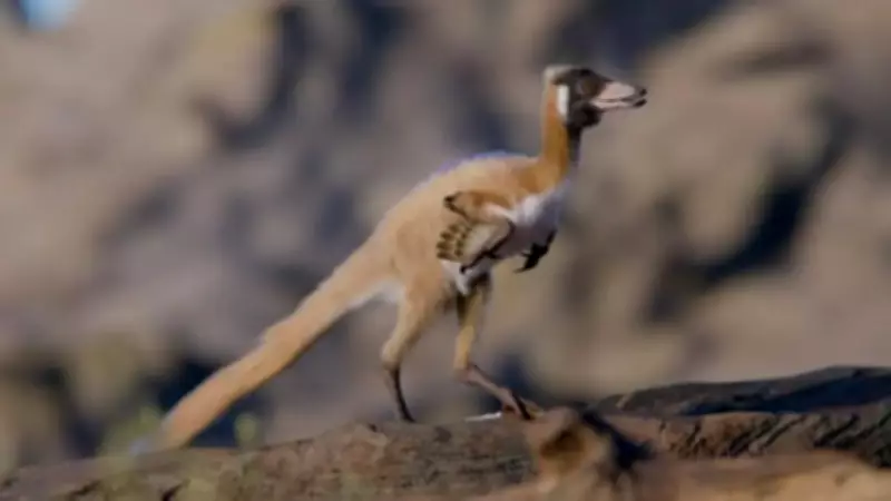 Fossil of Crow-Sized Dinosaur Found in Argentina Rewrites History