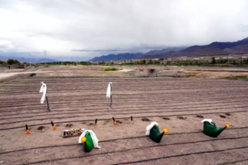 Foundation laid for India's first high-altitude flower fields in Leh