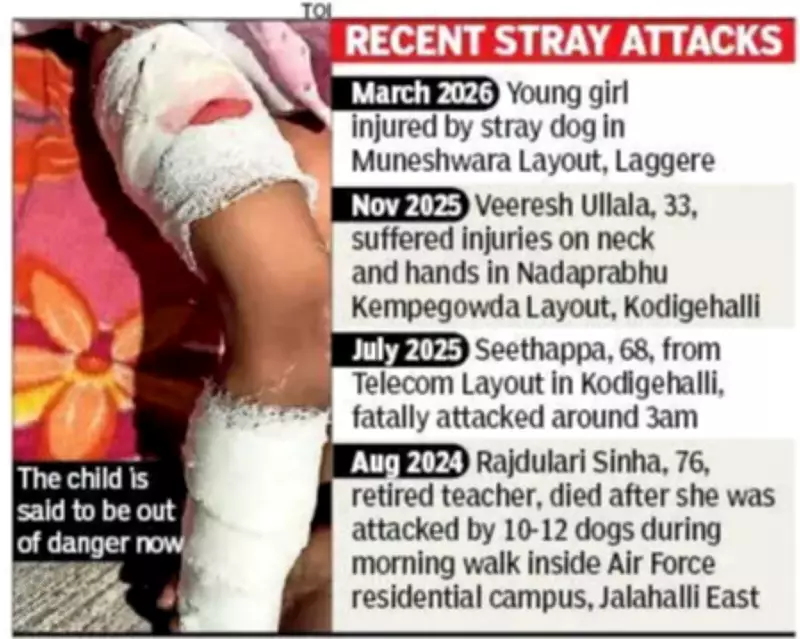 Four-Year-Old Girl Attacked by Stray Dogs in Bengaluru, Sparks Outrage
