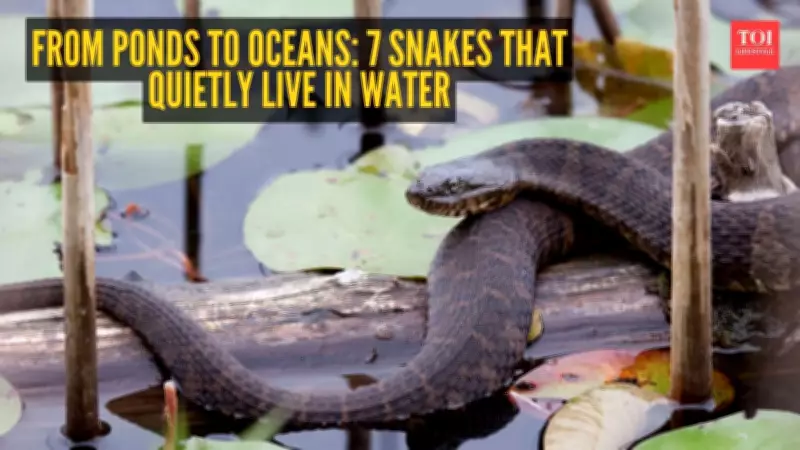 From Ponds to Oceans: 7 Snakes That Quietly Live in Water
